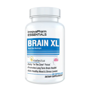 Brain XL