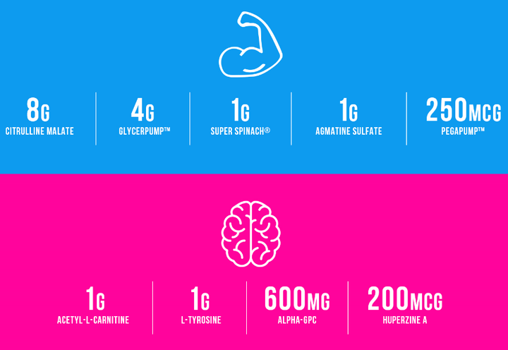 InnovaPharm Nova Pump Neuro Facts Graphic